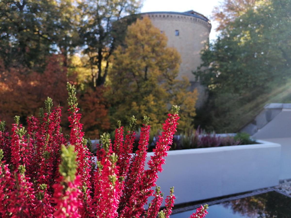 Apartment Serenade Am Zwinger Гослар Экстерьер фото